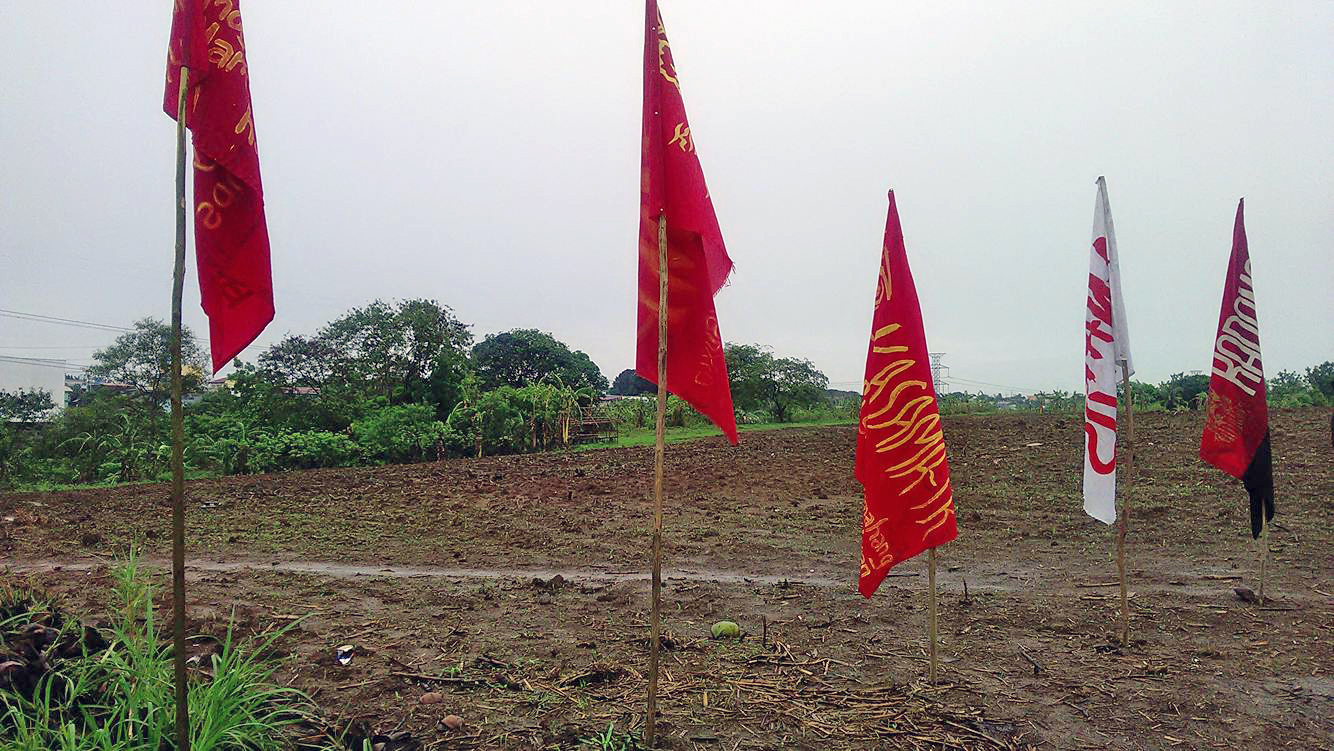 Minamarkahan ng mga bandila ng mga grupo ng magsasaka ang kanilang binubungkal sa Lupang Ramos. 