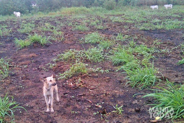 #LupangRamos | Laban ng mga magsasaka sa Lupang Ramos #LupangRamos | Laban ng mga magsasaka sa Lupang Ramos
