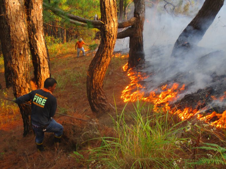 More firetrucks needed to suppress forest fires in Benguet – solon