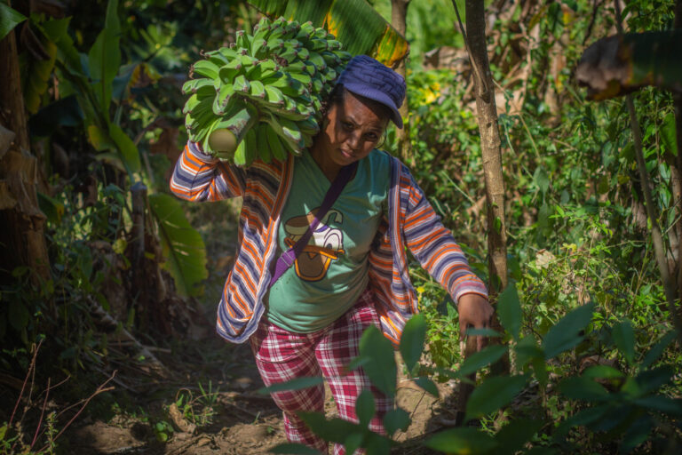 Amid COVID-19 lockdown and land conflict, a village wages struggle to live